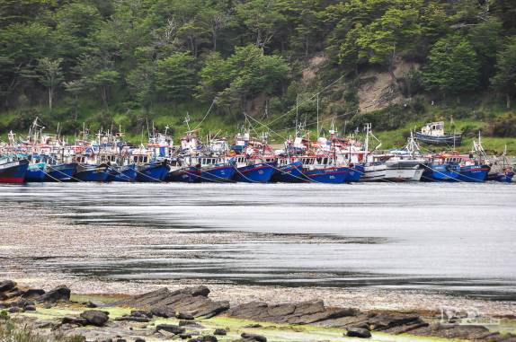 Barcos pesqueiros em baía próxima ao Fuerte Bulnes, ao sul de Punta Arenas, no extremo sul do Chile e da América